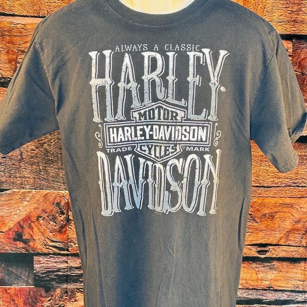 Harley-Davidson Charcoal Gray Men's Tee